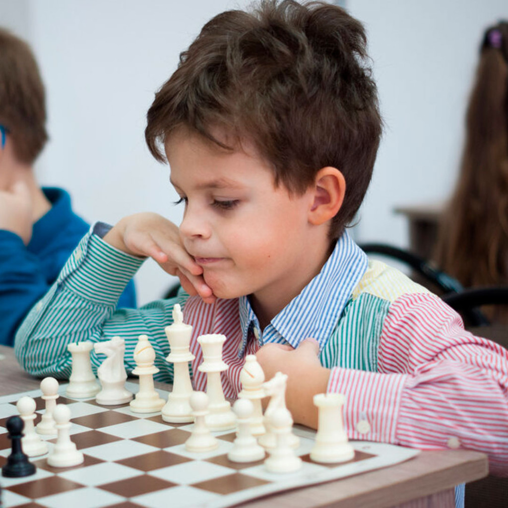 Секция по шахматам «Начинающие»